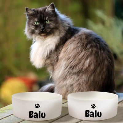 Personalisierte Futternäpfe "Pfote" mit / ohne Ständer - für Hunde und Katzen - hochwertige Keramik