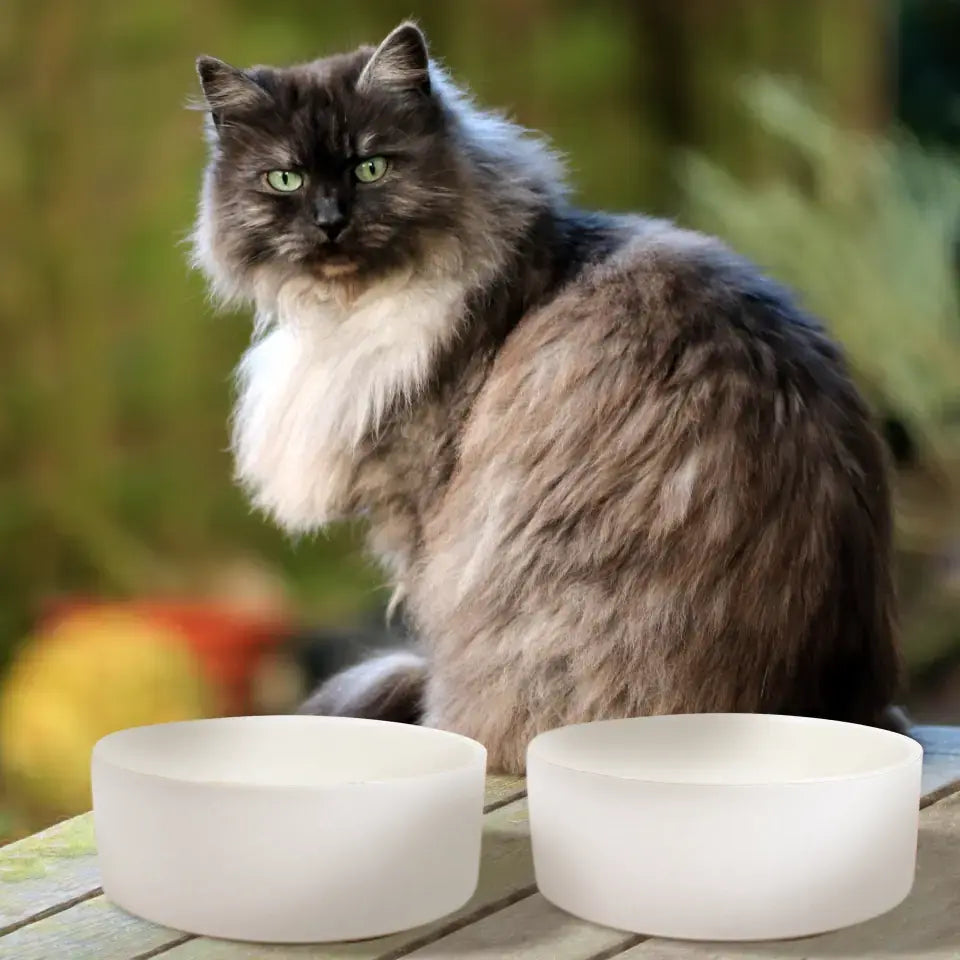 Futternäpfe mit / ohne Ständer - für Hunde und Katzen - hochwertige Keramik